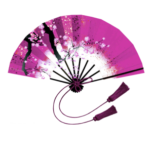 Hand fan PNG
