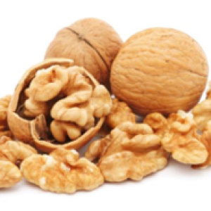 Walnut PNG