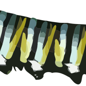 Caterpillar PNG