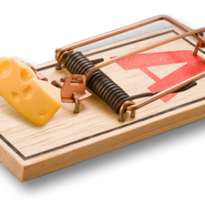 Mouse trap PNG