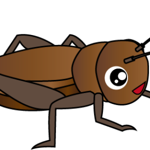 Cricket insect PNG