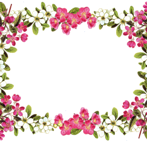 Floral frame PNG