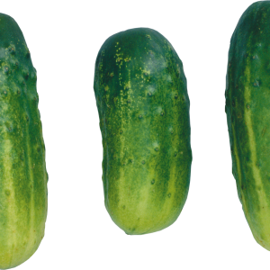 short cucumbers PNG