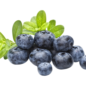 Blueberries PNG