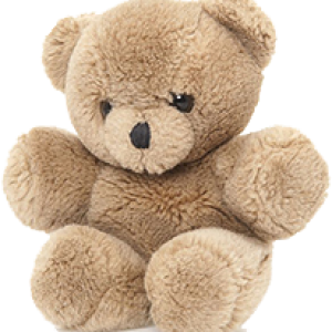 Teddy bear PNG