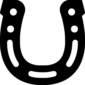 Horseshoe PNG
