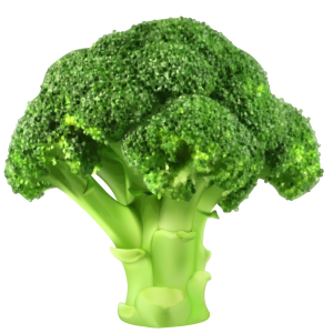 Broccoli PNG