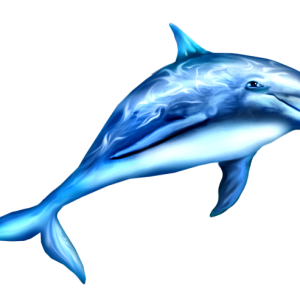 Dolphin PNG