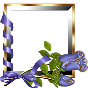 Picture, photo frame PNG