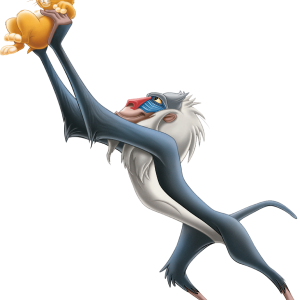 Lion King PNG