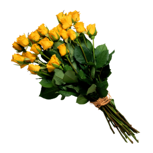Bouquet flowers PNG