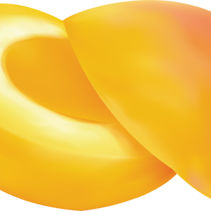 Cutted apricot PNG image