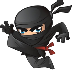 Ninja PNG