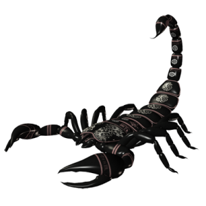 Scorpion PNG