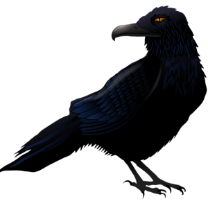 Raven PNG