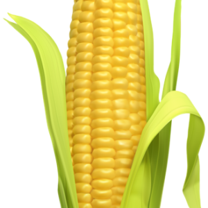 Corn PNG
