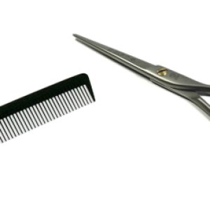 Comb PNG