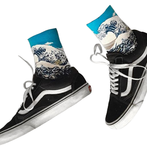Vans shoes PNG