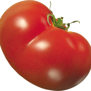Tomato PNG picture