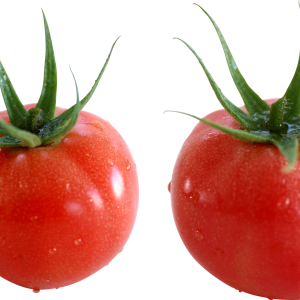 Tomato PNG