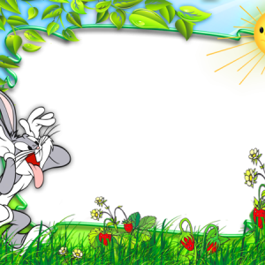 Picture, photo frame PNG