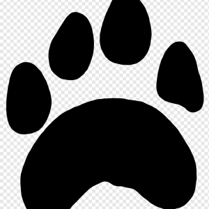 Paw PNG