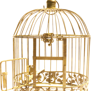 Cage bird PNG