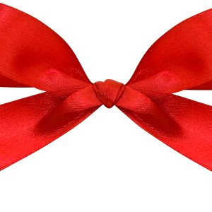 red ribbon bow PNG