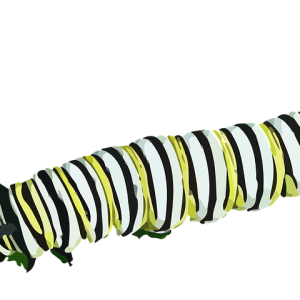 Caterpillar PNG