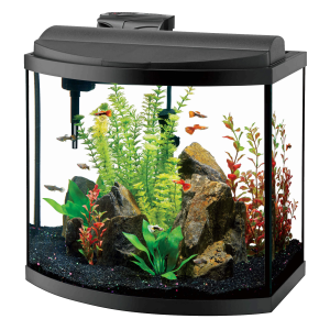 Aquarium PNG