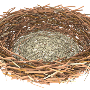 Nest PNG