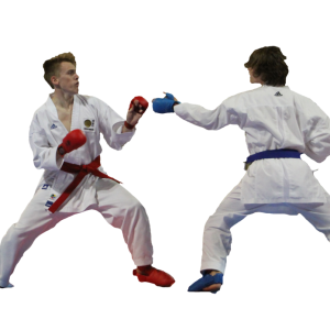 Karate PNG
