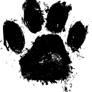 Paw PNG