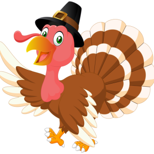 Turkey bird PNG