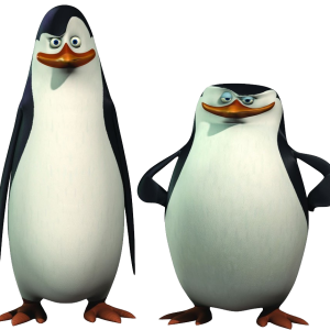 Madagascar penguins PNG