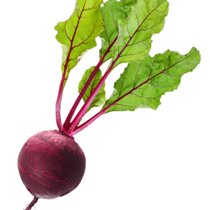 Beet PNG