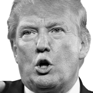 Donald Trump PNG