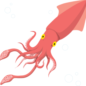 Squid PNG