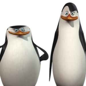 Madagascar penguins PNG