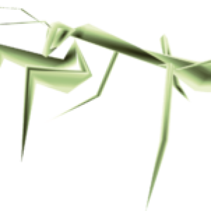 Mantis PNG