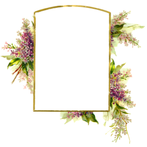Floral frame PNG