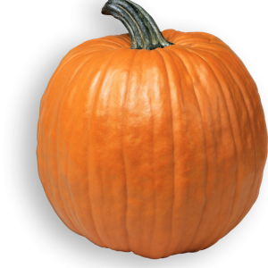 Pumpkin PNG