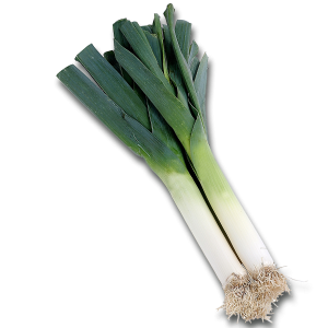 Leek PNG
