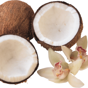 PNG Coconuts