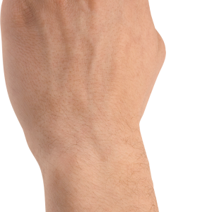 Hands PNG, hand image free