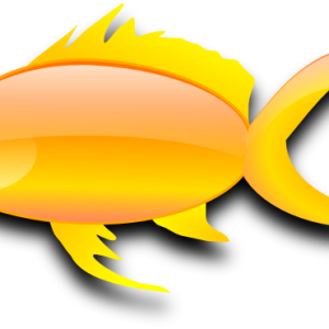 Goldfish PNG