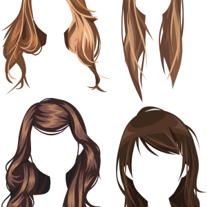 Hair wig PNG