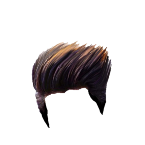 Hair wig PNG