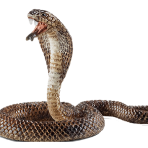 Cobra PNG