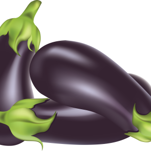 Eggplants PNG images free download